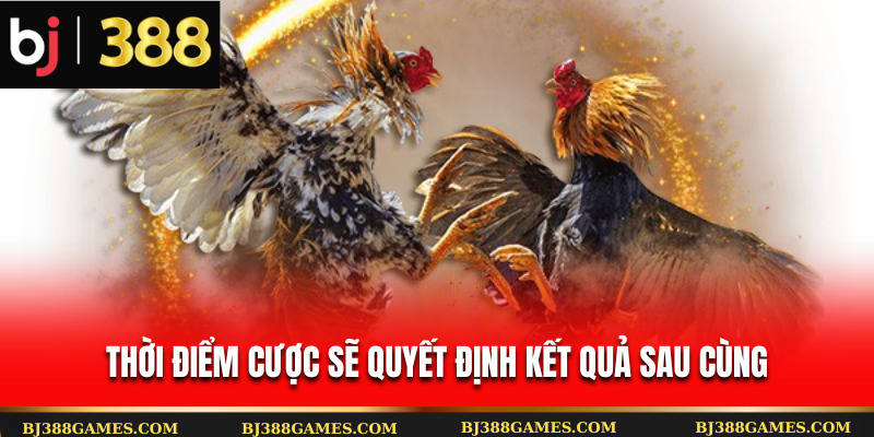 Thời điểm cược sẽ quyết định kết quả sau cùng