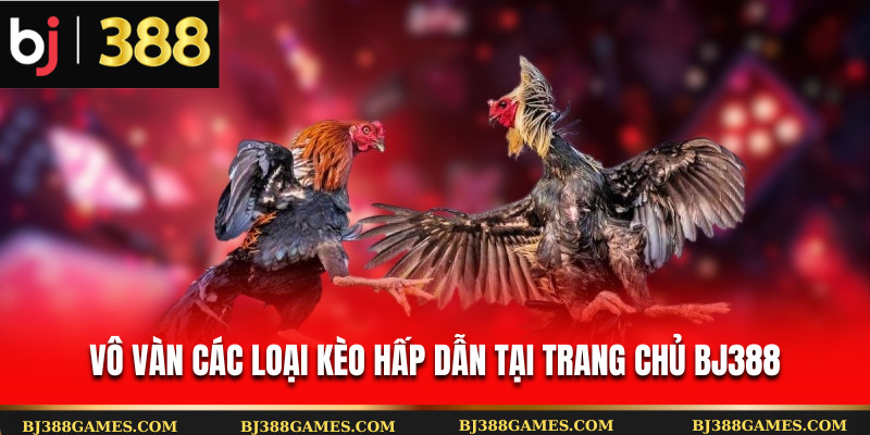 Vô vàn các loại kèo hấp dẫn tại trang chủ Bj388