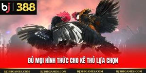 Đủ mọi hình thức cho kê thủ lựa chọn