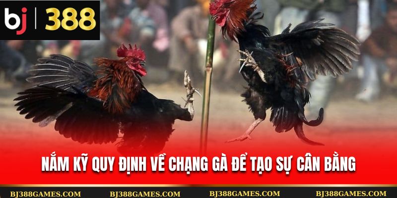 Nắm kỹ quy định về chạng gà để tạo sự cân bằng
